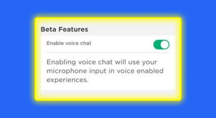 enabling voice chat on Roblox