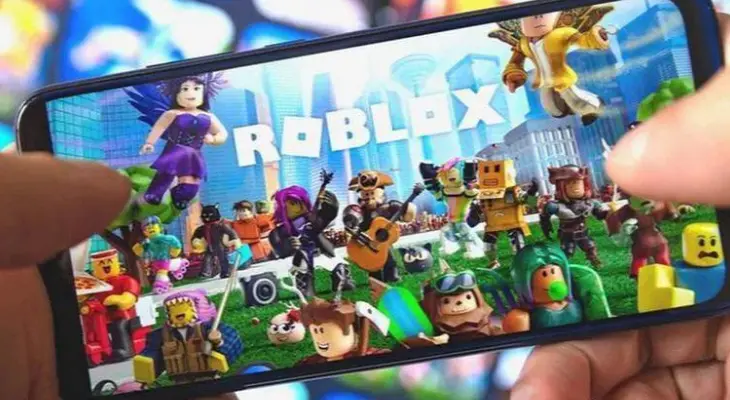 How to Fill out A Roblox Login Page with phone